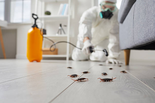 Trusted Mosquito Control service in Fern Prairie, WA - Nex Pest Control
