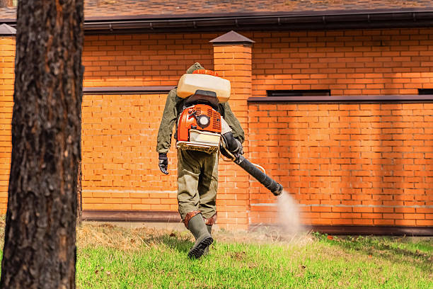 Trusted Bed Bug Control service in Fern Prairie, WA - Nex Pest Control